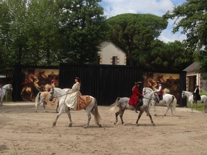 Haras de la Vendée