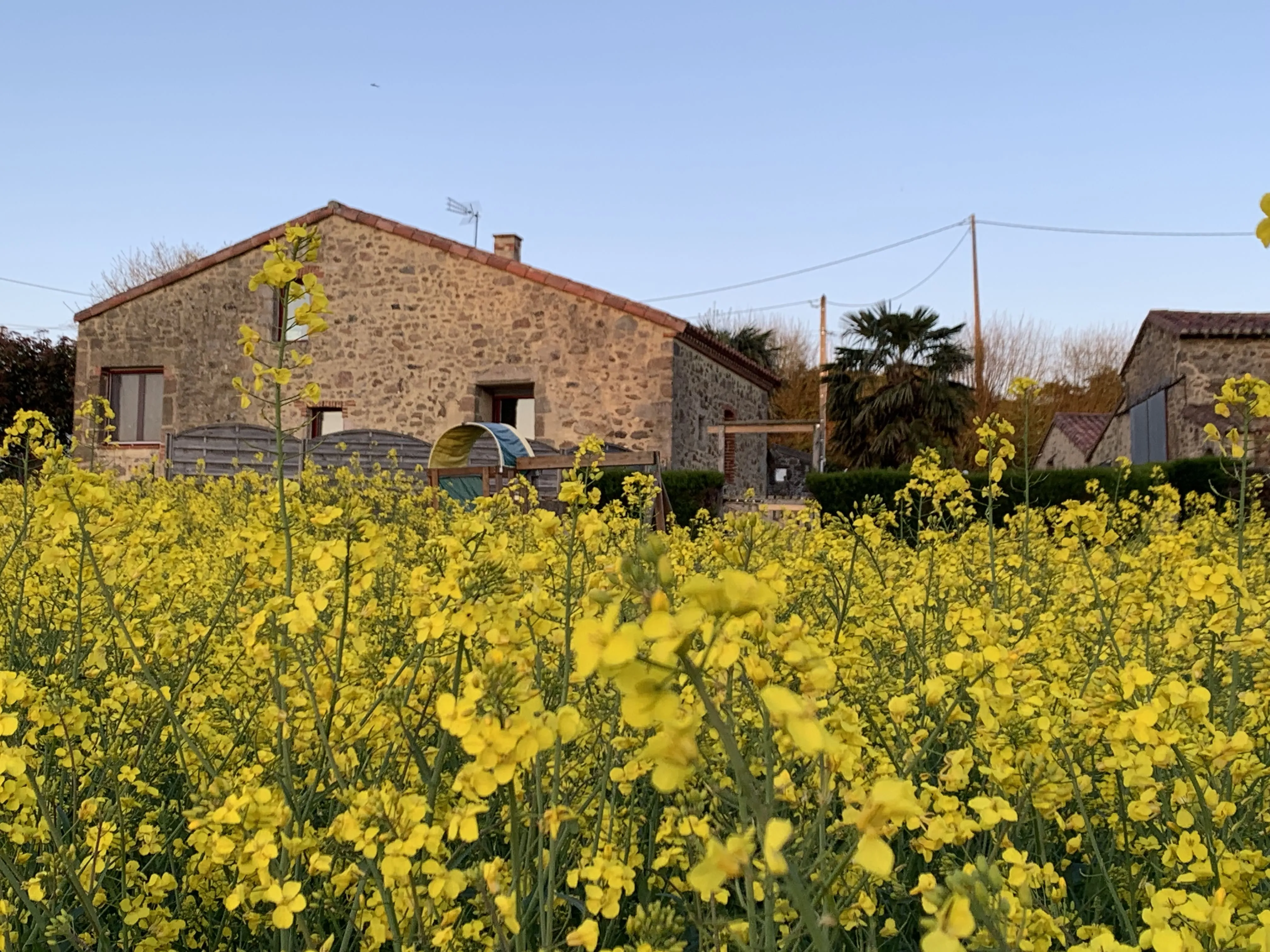 La Basse Monnière